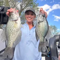 original sound - thegirlwholovesto._fish