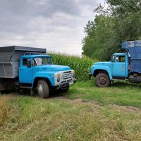оригінальний звук