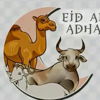 original sound - rasyamutya5