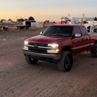treyce_holst