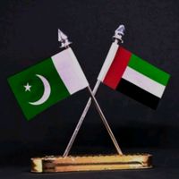 sunnytanoli10