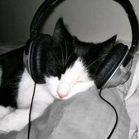 оригинальный звук