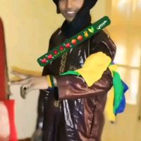 الصوت الأصلي