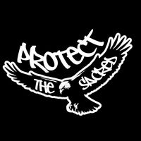 protectthesacredones