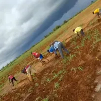 original sound - villageois_et_fier