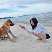 pajoysxksaek