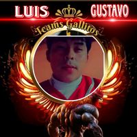gustavovail051600469