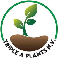 tripleaplantsnv