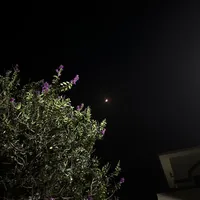 original sound - _.alystic._