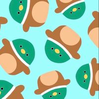 squishmallowsforlifes