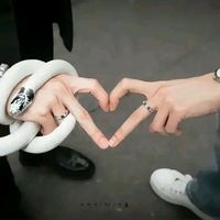 yarelii_012