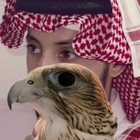 الصوت الأصلي