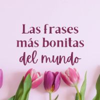 bonitasfrasesamor