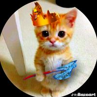 omaros280bloxfruit11