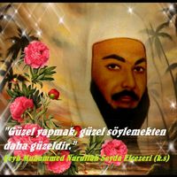 orijinal ses