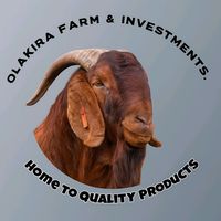 olakirafarminvestments