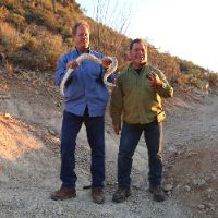 original sound - Animal Experts