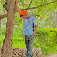 hamdi_jo2