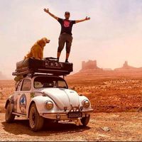 legado_jesse.shurastey