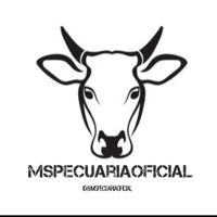 mspecuariaof