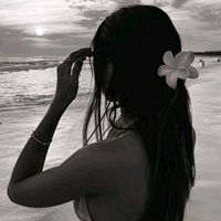 sarka_535