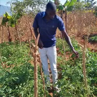 original sound - hilarymatatamutua4gmail0