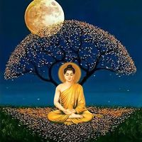 nhạc nền - Phước An