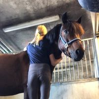 equestrians._.elin