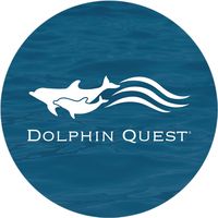 dolphinquest