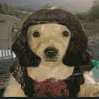 romi_2027