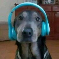 sonido original