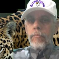 fernandosilvatv32