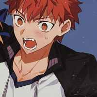 _gecko_29
