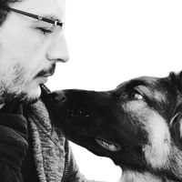 الصوت الأصلي