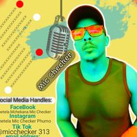 thetelamicchecker1