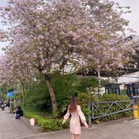 dearjanestore