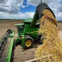 original sound - agro.brasil3