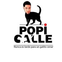 elpopicalletv