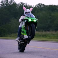 bugs72956