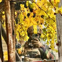 оригінальний звук