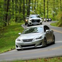 NO ONE WILL HAVE CARROT