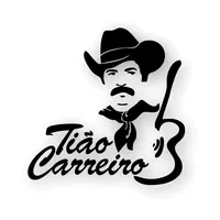 original sound - violaesertao