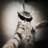 rumored.to.be_official