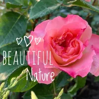 original sound - beautiful_nature_17