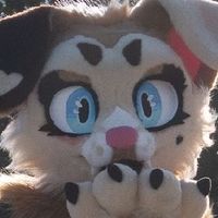 honeyfurpup