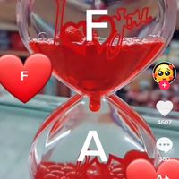 user066501256