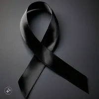 original sound - ms.d573