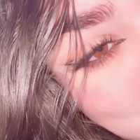 lana.740