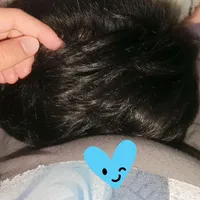 Kimino Toriko (Remix)