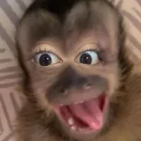 original sound - diana.h91